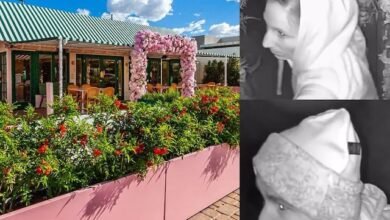 Sex in Restaurant: Couple who entered a rose-themed restaurant to steal changed their minds...first became romantic, then looted liquor and cash...revealed in CCTV footage