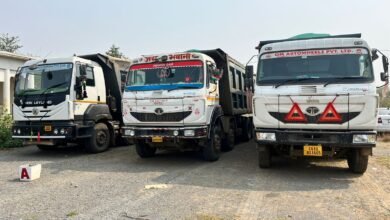 Illegal Transportation: Forest areas secured through patrols and surveillance! No cases of illegal transportation were found in Baloda Bazar.