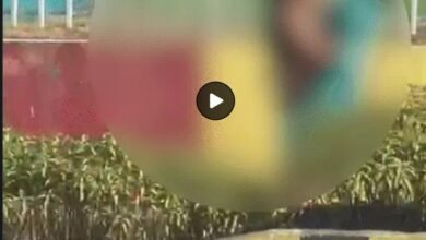 Dirty Woman: In Korba, a woman took off her clothes at an intersection...passersby were shocked.