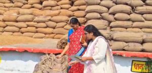 Food Department Secretary: Food Secretary Reena Kangale has tightened the noose around the rice market! Officials are warned that no one is allowed to harass farmers... Watch the video here.