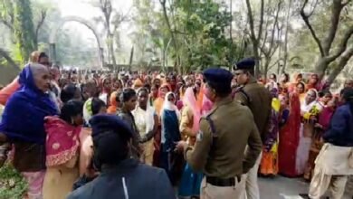 Forest Cutting: Controversy erupts over forest cutting in Kolga, Korba...! Villagers submit memorandum against Forest Department's action...