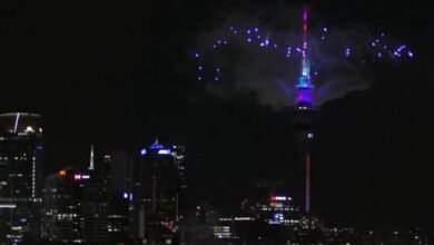 New Year 2026 Celebration: New Year celebrations have begun in this country of the world... spectacular fireworks display... Watch the VIDEO.