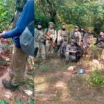 IED Bomb Disposal: Big news from Narayanpur! Security forces conduct a major operation in the highly sensitive forests of Chhotedongar... Three Naxalite IED bombs recovered... safely deactivated.