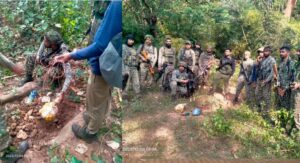 IED Bomb Disposal: Big news from Narayanpur! Security forces conduct a major operation in the highly sensitive forests of Chhotedongar... Three Naxalite IED bombs recovered... safely deactivated.