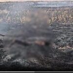 Tragic Incident: Woman burned alive in Balodabazar...! She died after being caught in a fire while burning stubble in a field... Watch the VIDEO here.