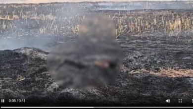 Tragic Incident: Woman burned alive in Balodabazar...! She died after being caught in a fire while burning stubble in a field... Watch the VIDEO here.