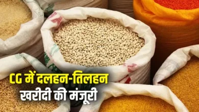 PM ASHA: The central government has approved the procurement of pulses and oilseeds from farmers.