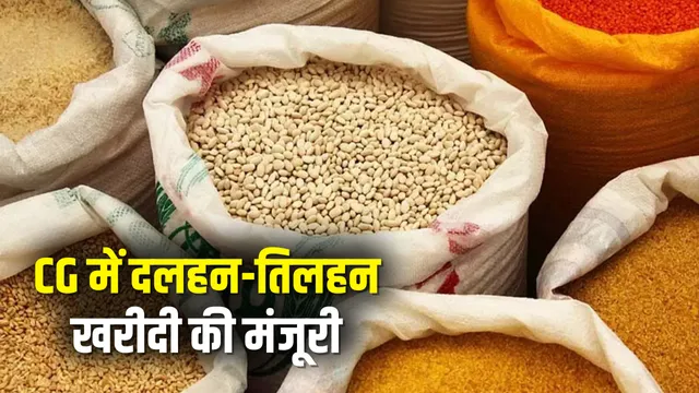 PM ASHA: The central government has approved the procurement of pulses and oilseeds from farmers.