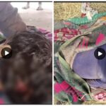Naxal Violence: Former Naxalite murdered in an axe attack...! Panic in the area.