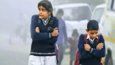 School Timings Changed: Due to severe cold in Chhattisgarh, school timings have been changed...administration has issued orders...see the timetable here.