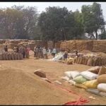 Support Price: Possibility of extending the paddy procurement date..! Farmers' difficulties continue.