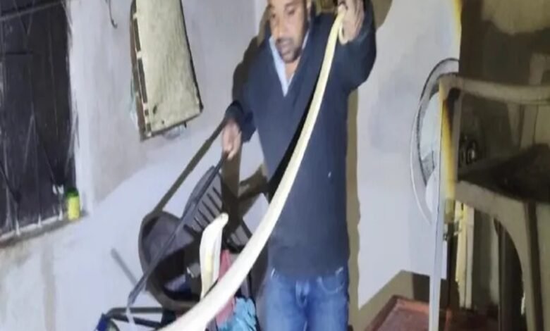 Snake Rescue: A cobra snake entered a residential house in Korba...! The Nova Nature team successfully rescued it.