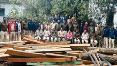 Illegal Timber Recovered: Illegal timber seized in Korba! Timber worth ₹2.21 lakh confiscated under the Forest Act.