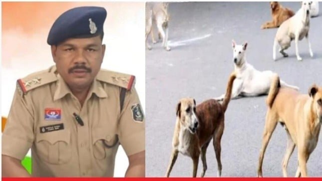RIP Nandlal Pakra: Mungeli Police in mourning...! Station in-charge Nandlal Pakra died in a road accident in Rajasthan... He lost his life while trying to save the 'bread' he was holding from dogs.