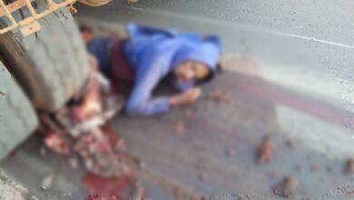 Hit and Run: Blood spilled again on NH-53... Three people, including a father and son, tragically killed in a road accident... Viewer discretion advised (Video contains graphic content).