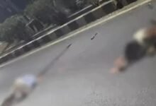 Student's death: Road accident in Ambikapur...! Student going to take 12th exam dies tragically