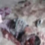 Domestic Violence: Husband attacks wife, mother, and sister with a chopper... All three are in critical condition.