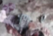 Domestic Violence: Husband attacks wife, mother, and sister with a chopper... All three are in critical condition.