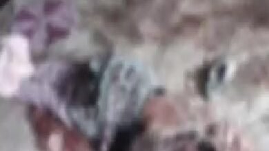 Domestic Violence: Husband attacks wife, mother, and sister with a chopper... All three are in critical condition.