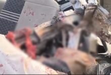 NH30 Accident: Big news from Dhamtari...! A speeding car collides with a parked truck...3 soldiers die tragically...Watch the video