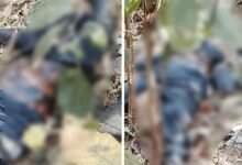 Missing Youth's Body: The discovery of a young man's body in Mahasamund caused a sensation...! He had been missing for 14 days.