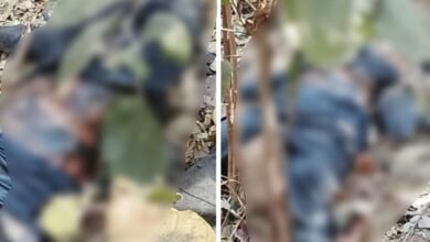 Missing Youth's Body: The discovery of a young man's body in Mahasamund caused a sensation...! He had been missing for 14 days.