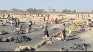 Coal Theft: Massive coal theft from Amera mine...! Questions raised about administration... Video goes viral