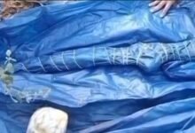 Naxal Activity: Naxalite act in Gariaband...Police team seizes cache of weapons...Watch video here