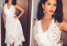 Sunny Leone: News of Sunny Leone attending a night DJ party in Raipur goes viral...! The administration calls it a rumor.