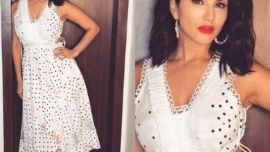 Sunny Leone: News of Sunny Leone attending a night DJ party in Raipur goes viral...! The administration calls it a rumor.