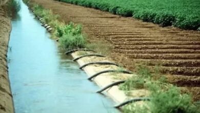 Farmer Prosperity: A major success in water management in Sukma district...! A significant outcome of the Farmer Prosperity Scheme... Water available from 177 borewells.