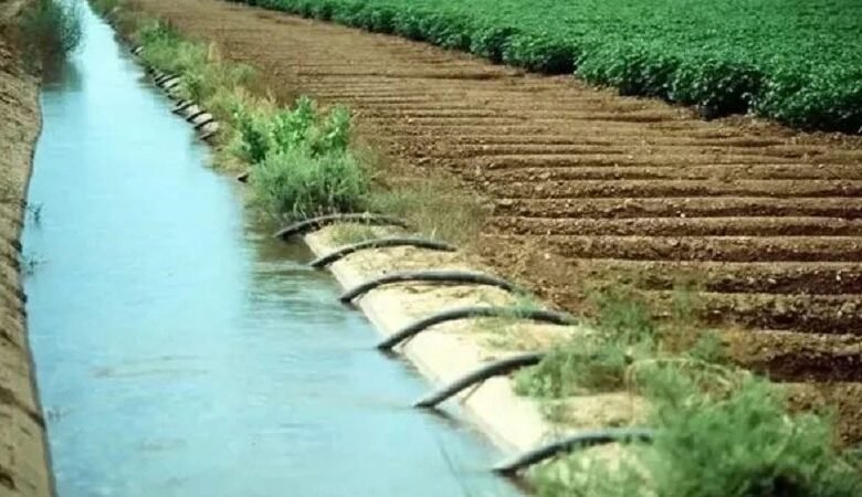 Farmer Prosperity: A major success in water management in Sukma district...! A significant outcome of the Farmer Prosperity Scheme... Water available from 177 borewells.