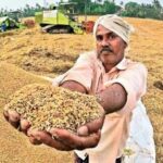 Paddy Purchase: The government's major decision on paddy procurement...! The difference between MSP and ₹3100 will be transferred directly to farmers' accounts... providing relief to millions of farmers.