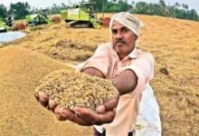 Paddy Purchase: The government's major decision on paddy procurement...! The difference between MSP and ₹3100 will be transferred directly to farmers' accounts... providing relief to millions of farmers.