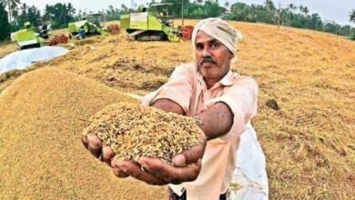 Paddy Purchase: The government's major decision on paddy procurement...! The difference between MSP and ₹3100 will be transferred directly to farmers' accounts... providing relief to millions of farmers.
