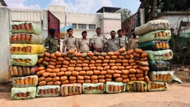 Police Action: Major smuggling racket busted in Kabirdham... Marijuana worth ₹5 crore seized... Watch the video here