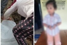 Grave of a Girl: In Balod, the grave of an innocent girl was dug out and her head was taken out... tension in the village... watch the video here