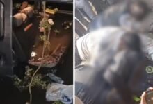 Road Accident: Speeding proved fatal...! Four members of the same family died...third major accident in 15 days...watch the video here