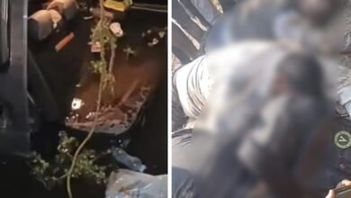 Road Accident: Speeding proved fatal...! Four members of the same family died...third major accident in 15 days...watch the video here