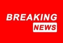 Exam Time Table: Timetable for annual exams for 9th and 11th grades in government schools released! Exams begin on February 27th.