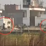 Domestic Violence: A heartbreaking scene! A wife brutally murdered her husband for not giving her money to drink alcohol… watch the video here.
