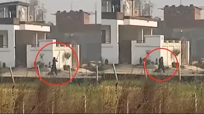 Domestic Violence: A heartbreaking scene! A wife brutally murdered her husband for not giving her money to drink alcohol… watch the video here.