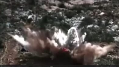 Operation Epic Fury: The US and Israel dropped 2,000 bombs in 100 hours... Tehran devastated... Middle East in fear