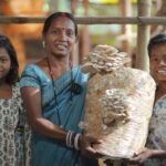 BALCO: Gangotri's life changed with BALCO's "Unnati" project...! From a laborer to a "Mushroom Didi"