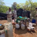 Ganja Seizure Operation: Major Police Crackdown! Strike Against ₹2,700 Crore Ganja Network... Cultivation Destroyed.