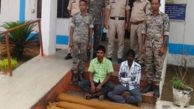 Opium Cultivation: Following the discovery of opium cultivation, cannabis fields found in this district of Chhattisgarh! Two accused arrested.