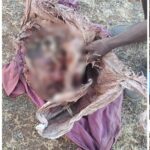 Killer: The terrifying face of superstition in Jabalpur! A young man is murdered by slitting his throat with an axe, causing a sensation in the area. Watch the video here.