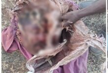 Killer: The terrifying face of superstition in Jabalpur! A young man is murdered by slitting his throat with an axe, causing a sensation in the area. Watch the video here.