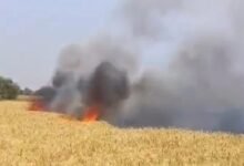Crop Fire: Fire Wreaks Havoc in Sarangarh...! 15 Acres of Crops Reduced to Ash... Crisis Strikes Farmers... Watch Video Here