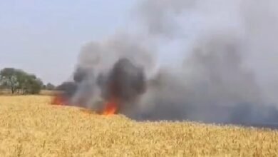 Crop Fire: Fire Wreaks Havoc in Sarangarh...! 15 Acres of Crops Reduced to Ash... Crisis Strikes Farmers... Watch Video Here